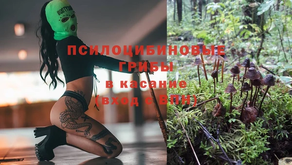 соль ск Абинск