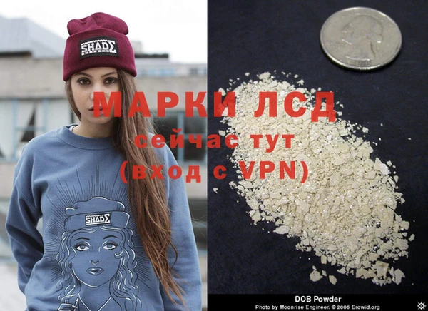 ГАЛЛЮЦИНОГЕННЫЕ ГРИБЫ Алексин